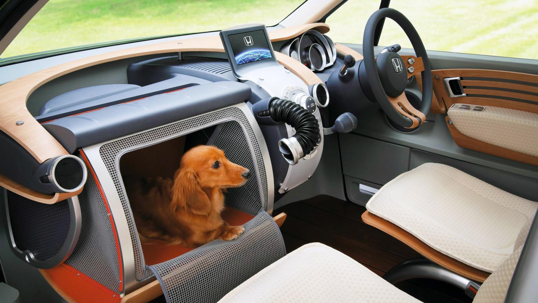 auto-innovaties