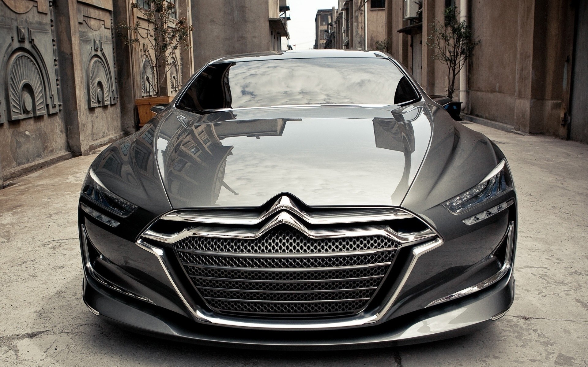 Grijze auto: Citroën Metropolis