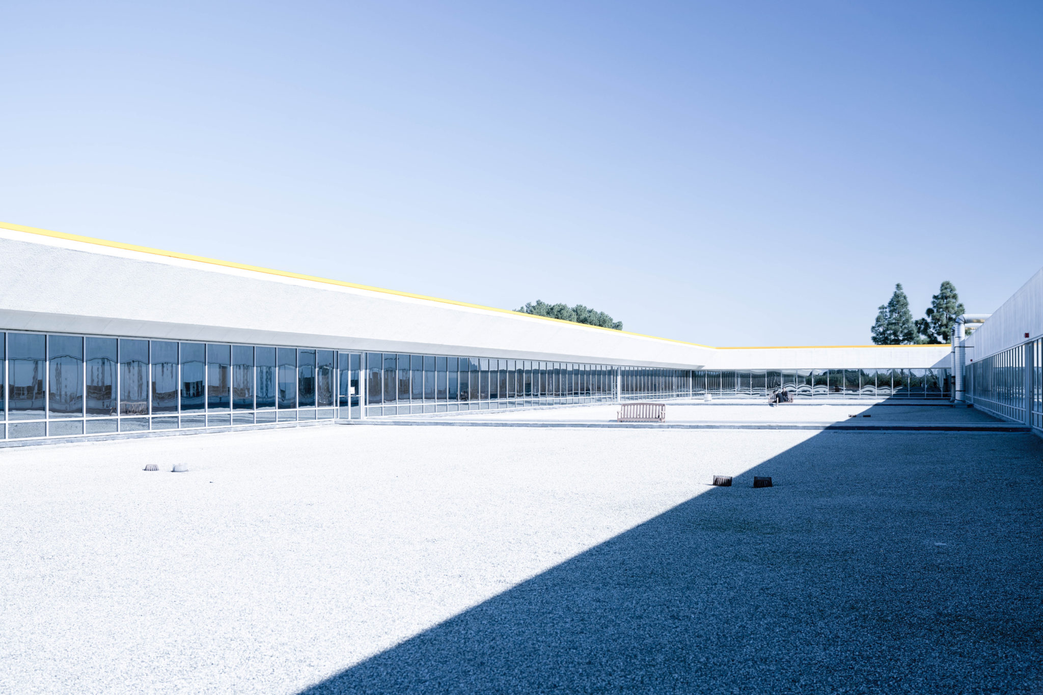 Faraday Future