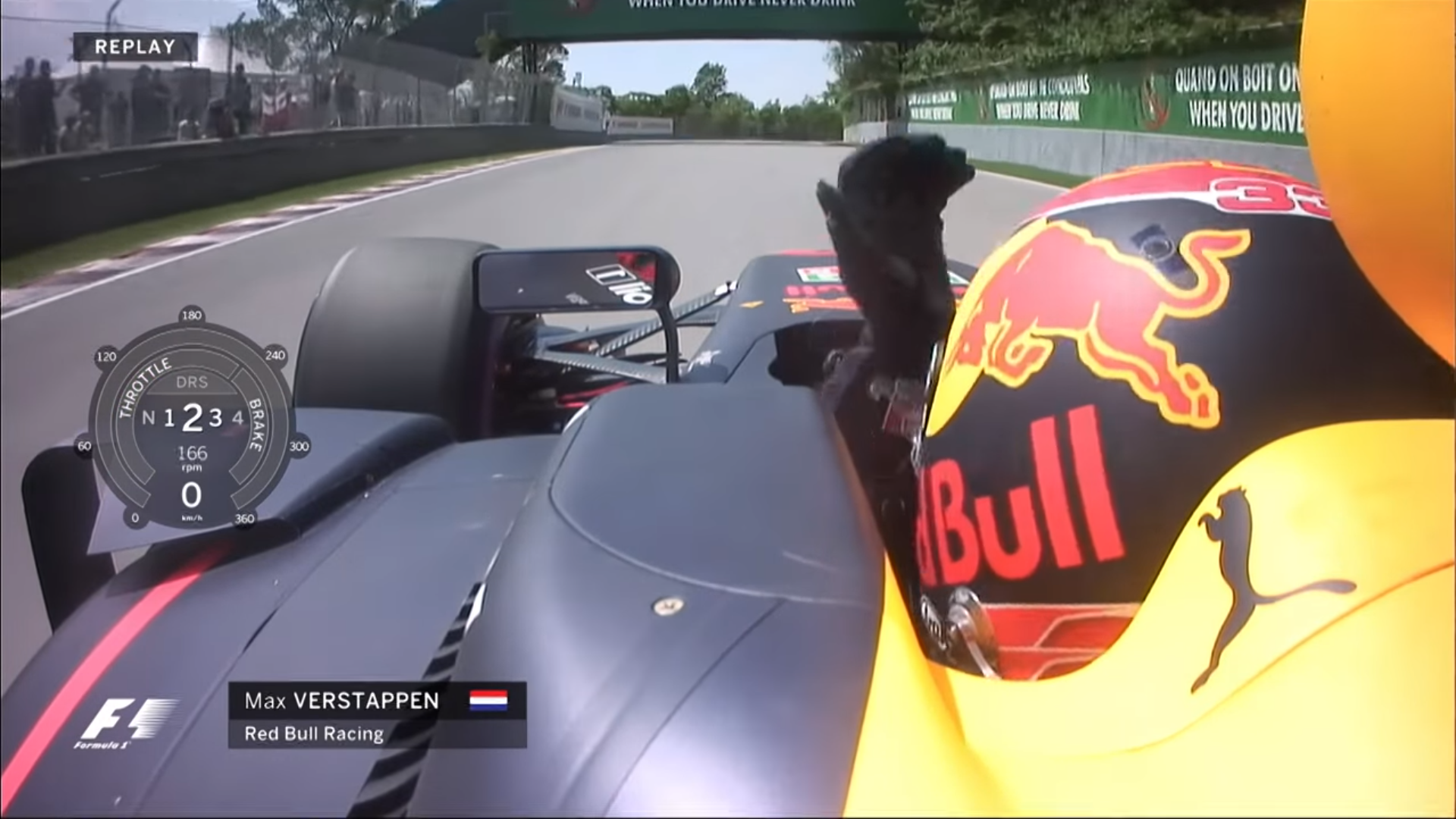 Verstappen uitviel dit seizoen