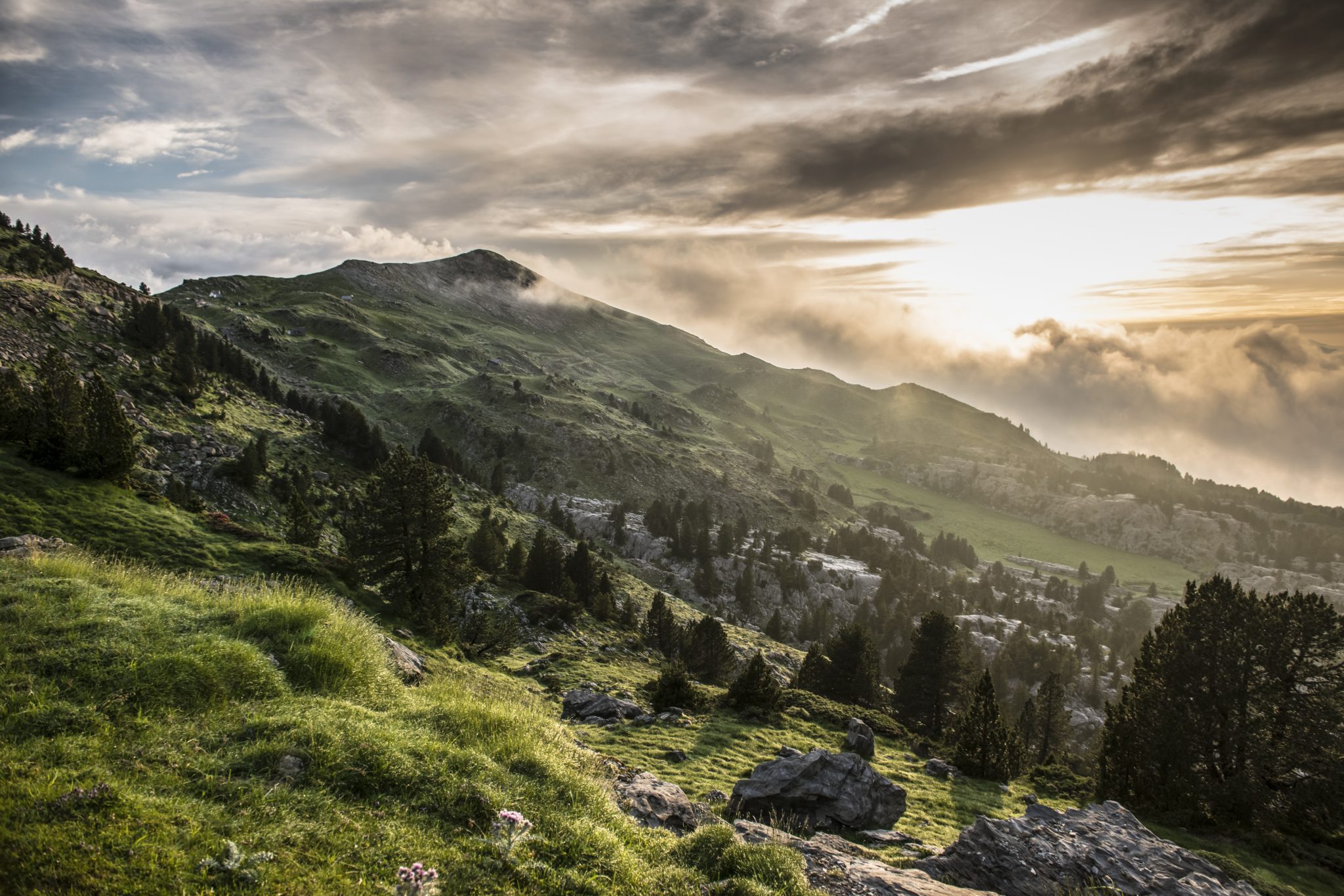 uitzicht bergen wolken mist