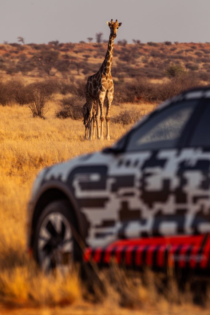 audi e-tron in namibie