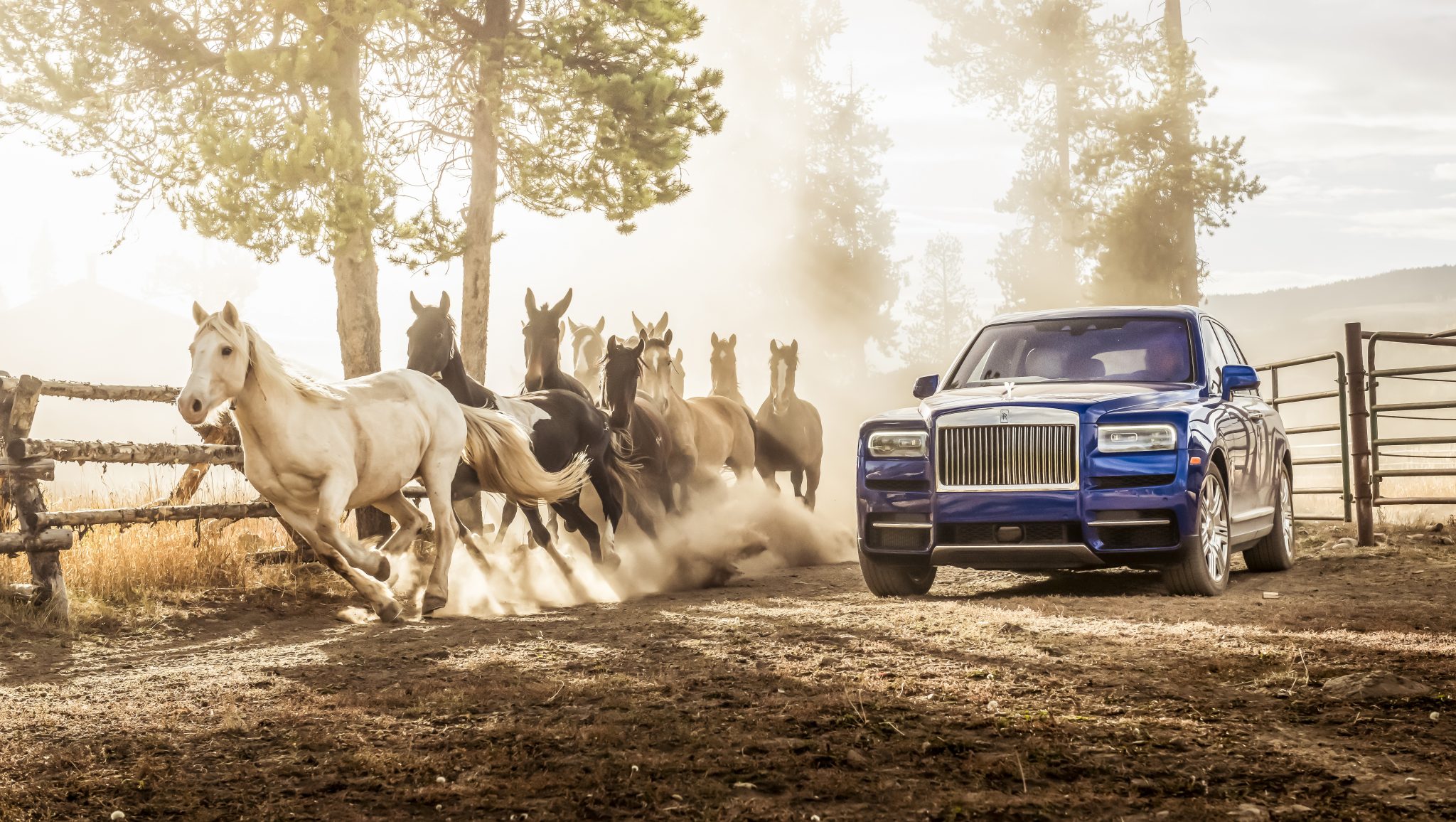 Rolls-Royce Cullinan met Paarden