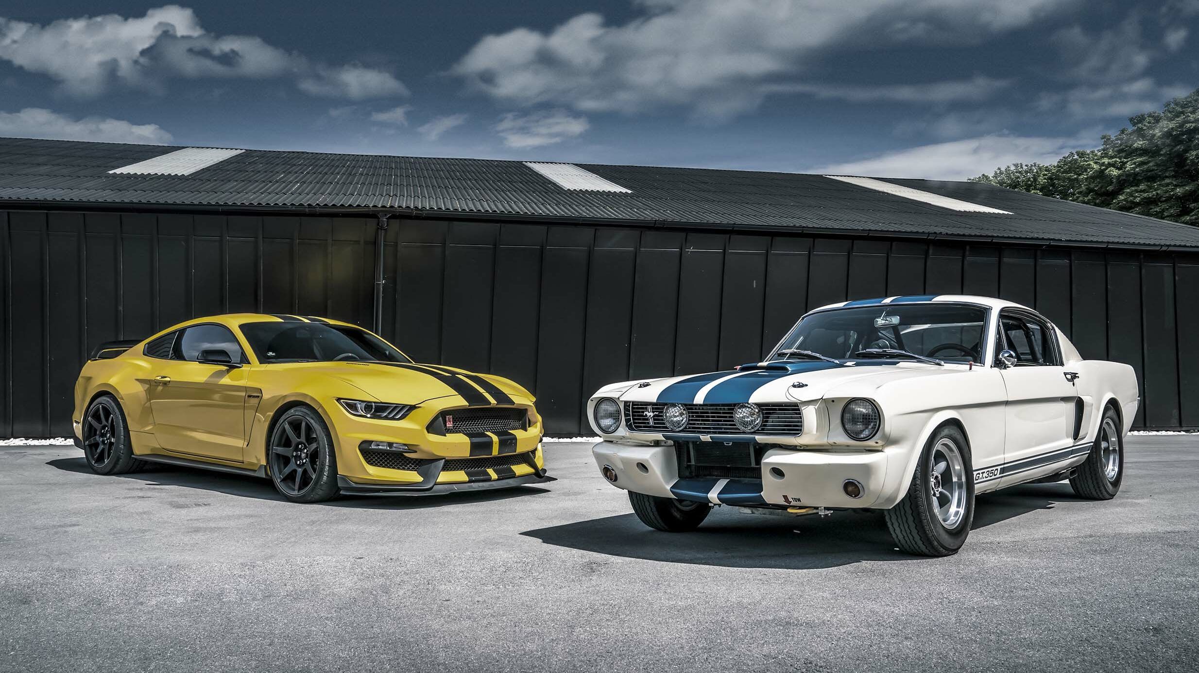 racestrepen Ford Mustang Shelby GT350